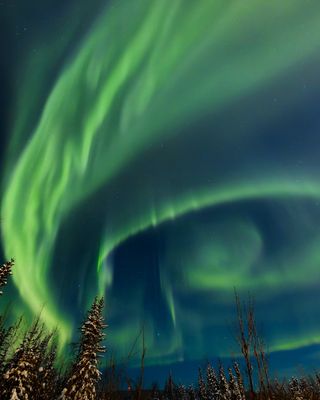 南极光北极光极光夜晚星空背景极光景观图片 (22)