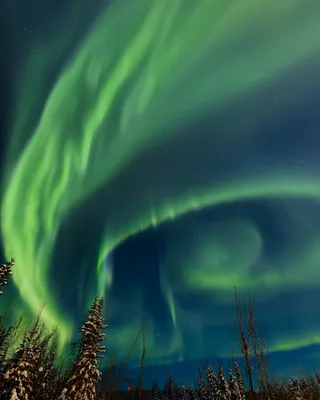 南极光北极光极光夜晚星空背景极光景观图片 (22)