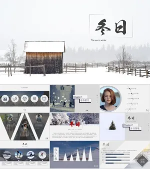 冬日主题个人工作总结报告ppt模板预览图