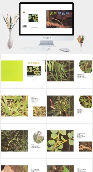 幸福的种子30-昆虫躲猫猫绘本故事PPT模板预览图