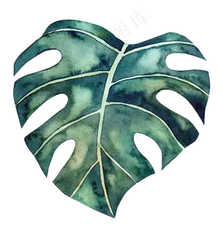 叶子, 龟背竹, 水彩, 龟背竹植物