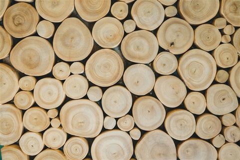 木纹年轮高清图片