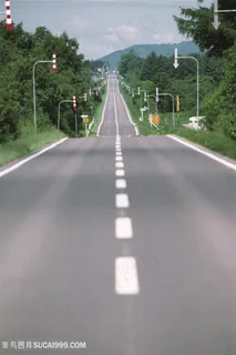 绿化大树道路美景