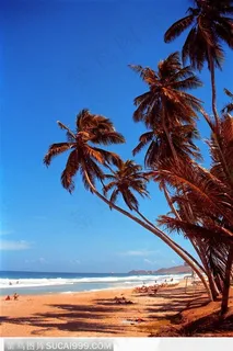 海滩风景 海滩风景