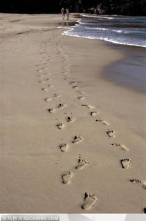 海滩休闲生活-沙滩上悠长的脚印