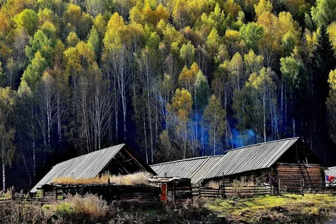 美丽的禾木乡风景图