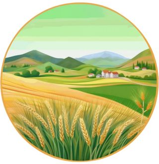 小麦麦穗稻穗边框画风景