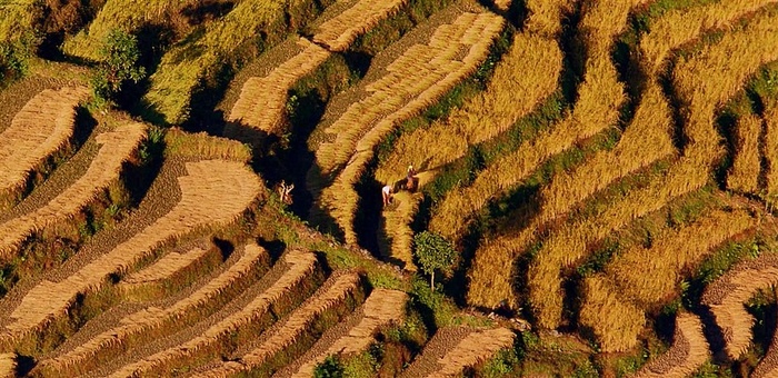 梯田最美的山岭雕刻