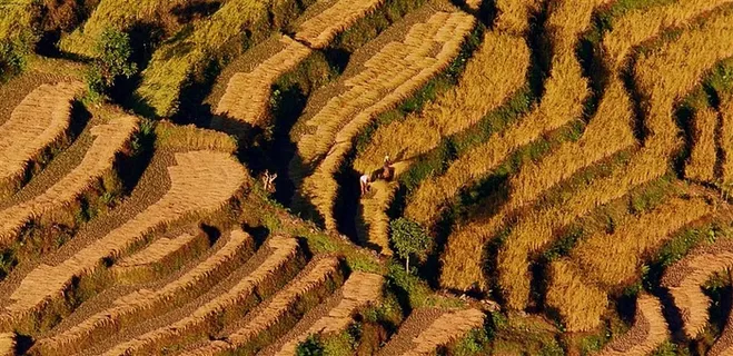 梯田最美的山岭雕刻 梯田最美的山岭雕刻