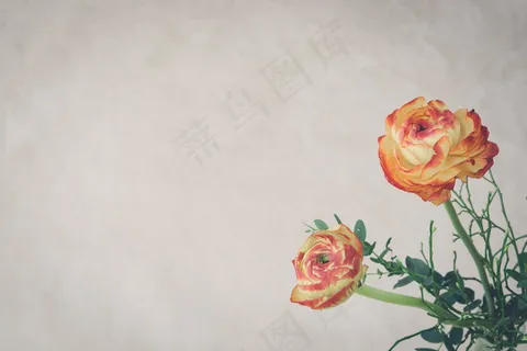 文档背景word插图素材 文档背景word插图素材