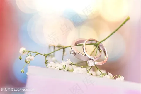 婚戒对戒婚礼戒指实物情景图婚礼摄影高清图珠宝图片