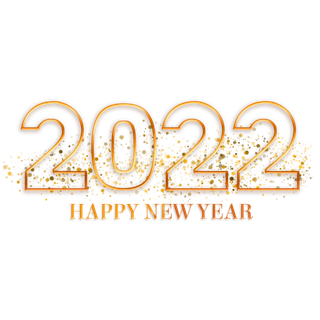 2022新年艺术创意字体虎年3D立体标题数字文字png免抠字素材