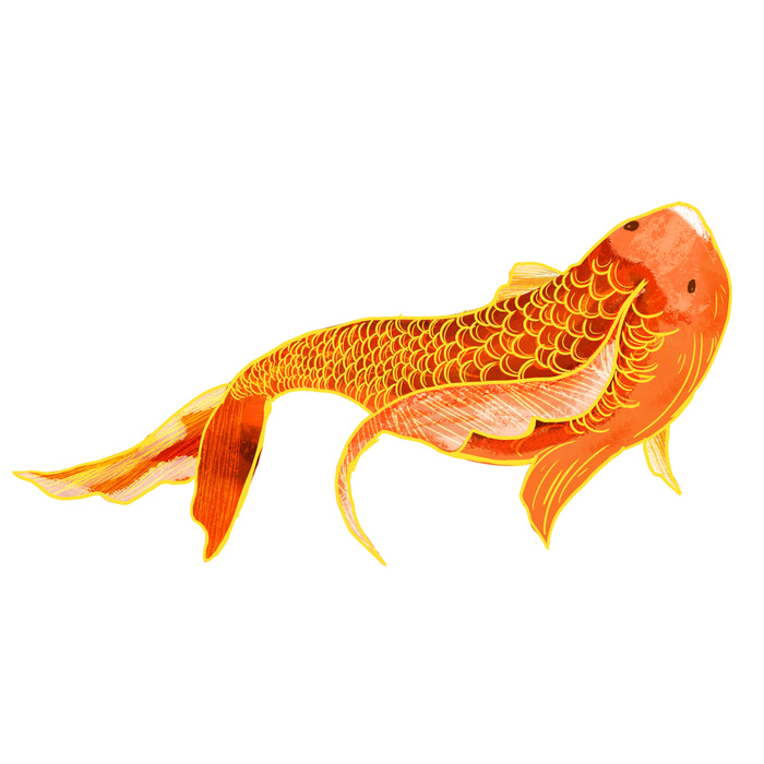 手绘烫金国潮中国风卡通锦鲤鱼金鱼插画装饰元素PSD设计素材