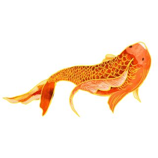 手绘烫金国潮中国风卡通锦鲤鱼金鱼插画装饰元素PSD设计素材