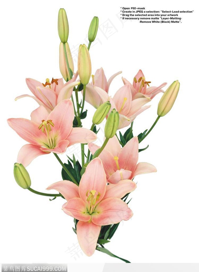 花艺花束-粉色的百色花