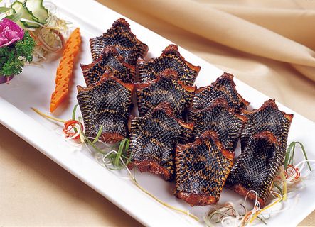 0911XC-555美极霸王蛇