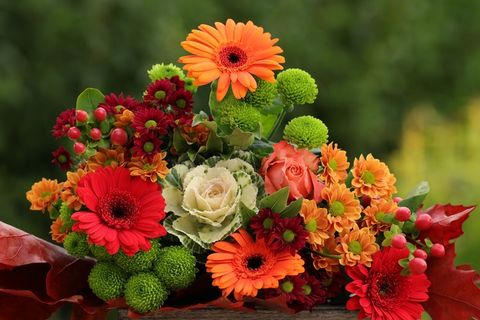 花朵, 花束, 菊花, 扶郎, 秋花 花朵, 花束, 菊花, 扶郎, 秋花