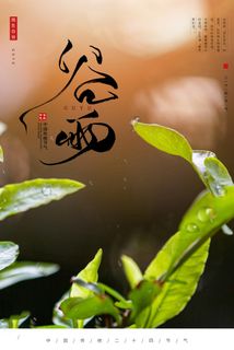 谷雨海报二十四节气谷雨广告