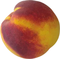 71_peach_PNG4858