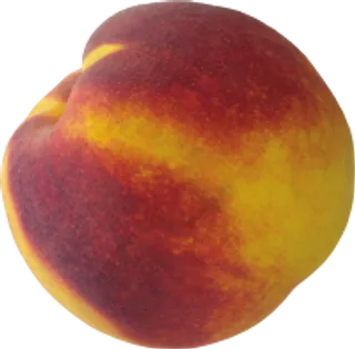 71_peach_PNG4858