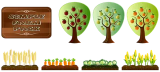 水果树现代农业