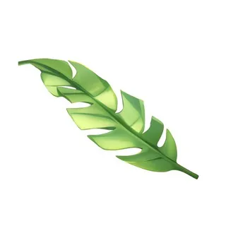 叶子树叶芭蕉叶免抠