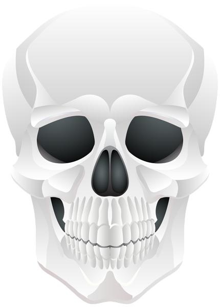 骷髅头免抠(430x600)