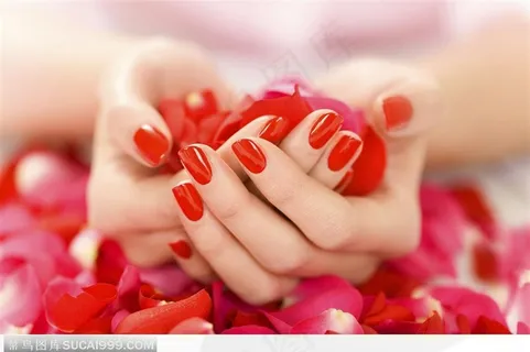 红色指甲与玫瑰花瓣