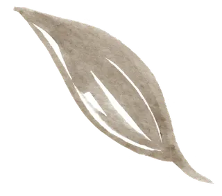 唯美森系手绘水彩花朵 免抠