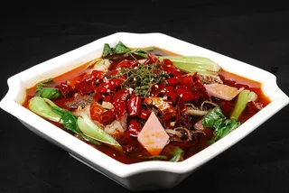 CXC00413川府毛血旺