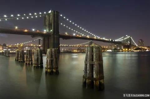 纽约大桥市夜景