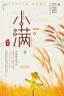 清新二十四节气小满节日海报