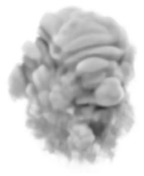 烟雾 PNG免抠(491x600)