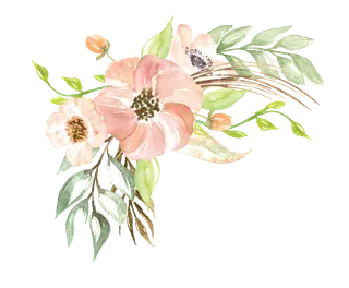 唯美森系手绘水彩花朵 免抠