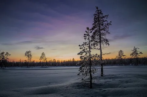 冬天自然背景风景 冬天自然背景风景