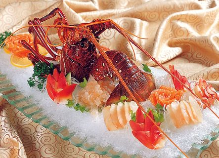 96LC-428龙腾盛世