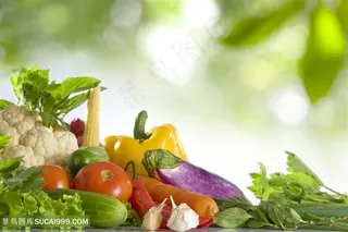 新鲜的蔬菜创意广告