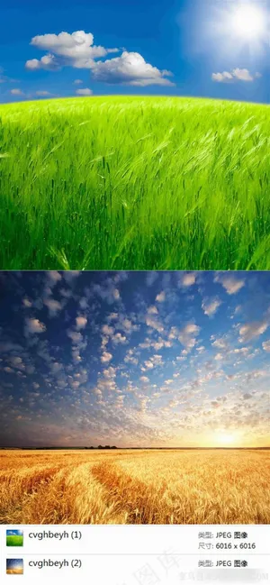 麦田风景摄影素材