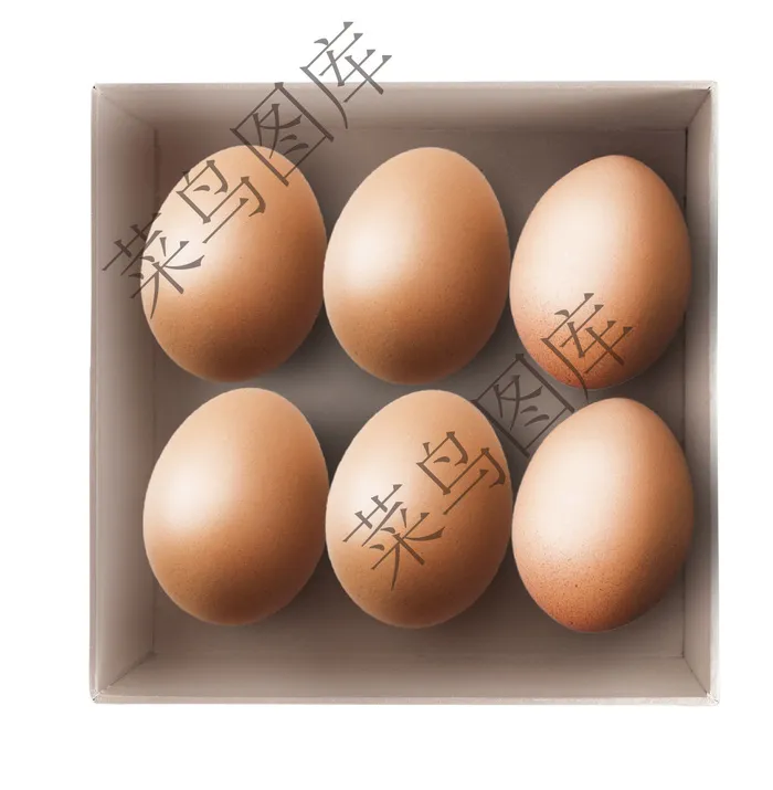 鸡蛋盒装高清图psd模版下载