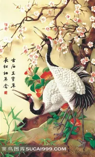 高清丹顶鹤艺术图片