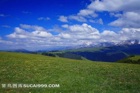 新疆喀拉峻草原风景素材