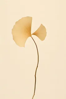 极简复古秋叶背景