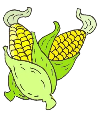 卡通玉米黄色