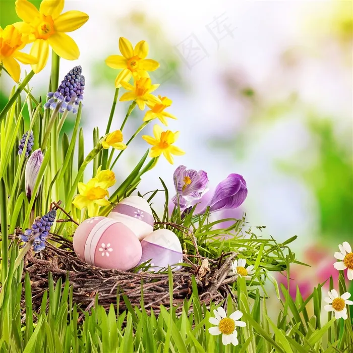 精美节日彩蛋设计图片