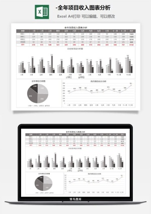 12-全年项目收入图表分析