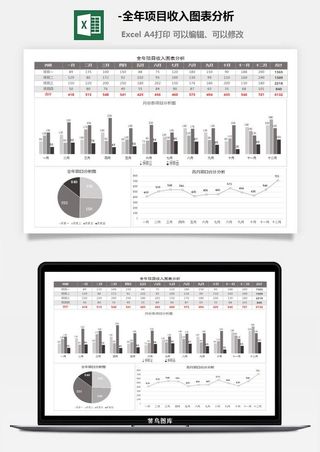 12-全年项目收入图表分析