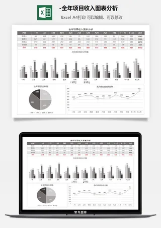 12-全年项目收入图表分析