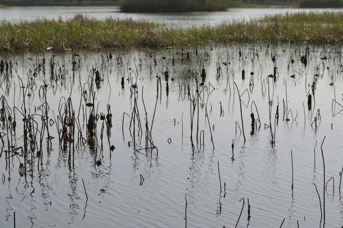 大蜀山森林公园风景图片-第9张