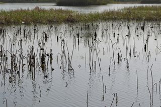 大蜀山森林公园风景图片-第9张