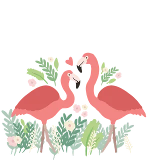 火烈鸟卡通